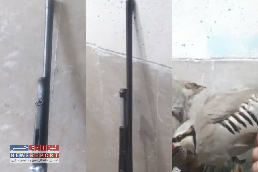 بررسی عکس‌های گوشی تلفن همراه متخلف محیط زیست در فسا را لو داد