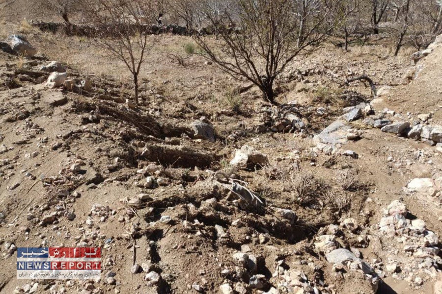 خسارت به بخش زیربنایی کشاورزی نی‌ریز بالغ بر 10میلیارد ریال