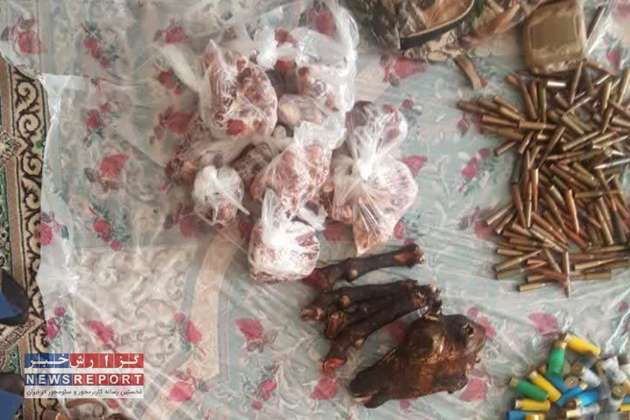 دستگیری شکارچی سابقه دار در شهرستان جهرم