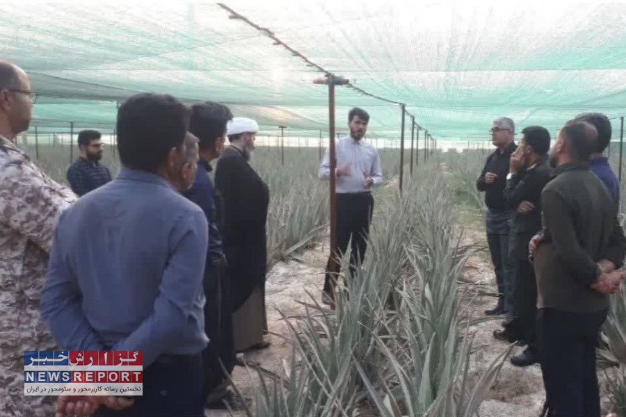 بازدید فرمانده سپاه لامرد از مزرعه آلوورا در بخش علامرودشت