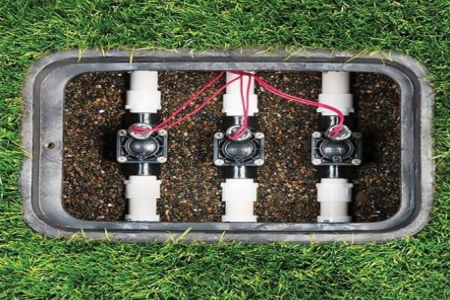 3 محصول برتر آبیاری کشور