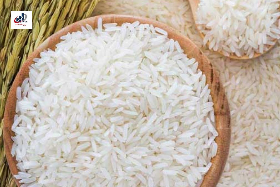 شوک قیمتی برنج: افزایش چشمگیر ۷۸٪ در ۶ ماه
