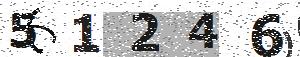 تصویر امنیتی