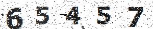 تصویر امنیتی