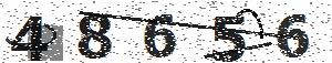 تصویر امنیتی